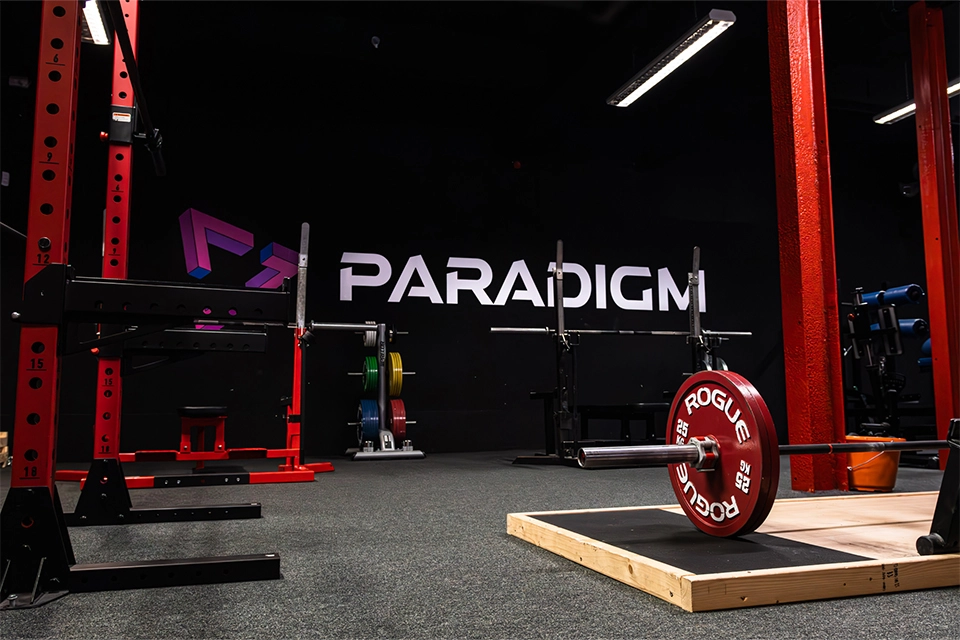 Paradigm Gym