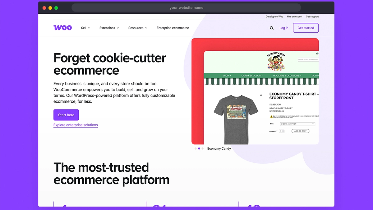 Browser mockup with WooCommerce website