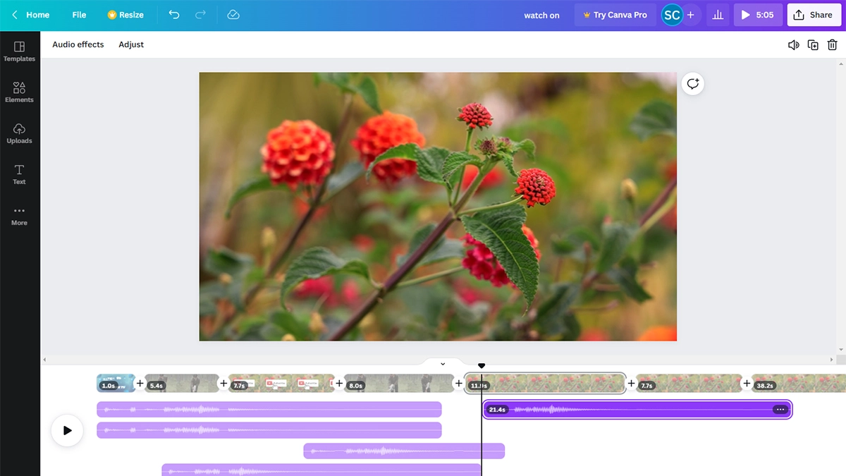 Canva Video Editing dashboard