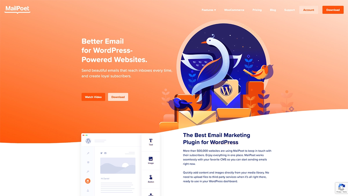 Screenshot of MailPoet email marketing software