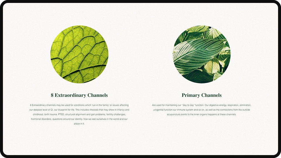 Screenshot of Lisa Gordon Acupuncture Nottingham website mockup