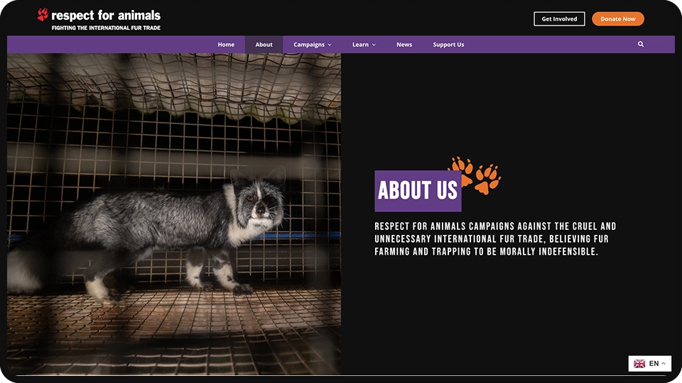 Screenshot of Respect for Animals non-profit website redesign