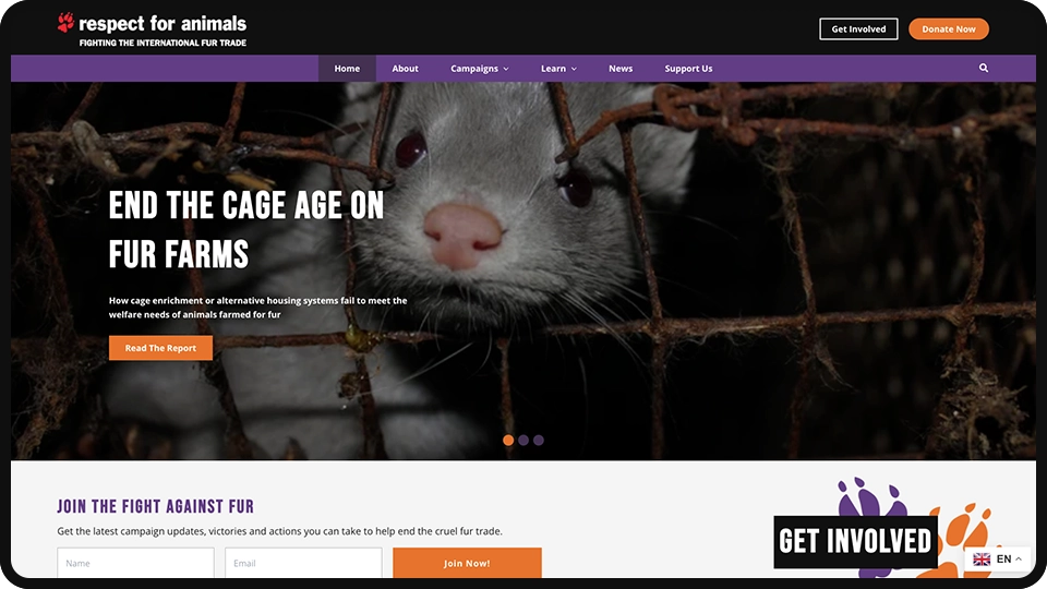 Screenshot of Respect for Animals non-profit website redesign
