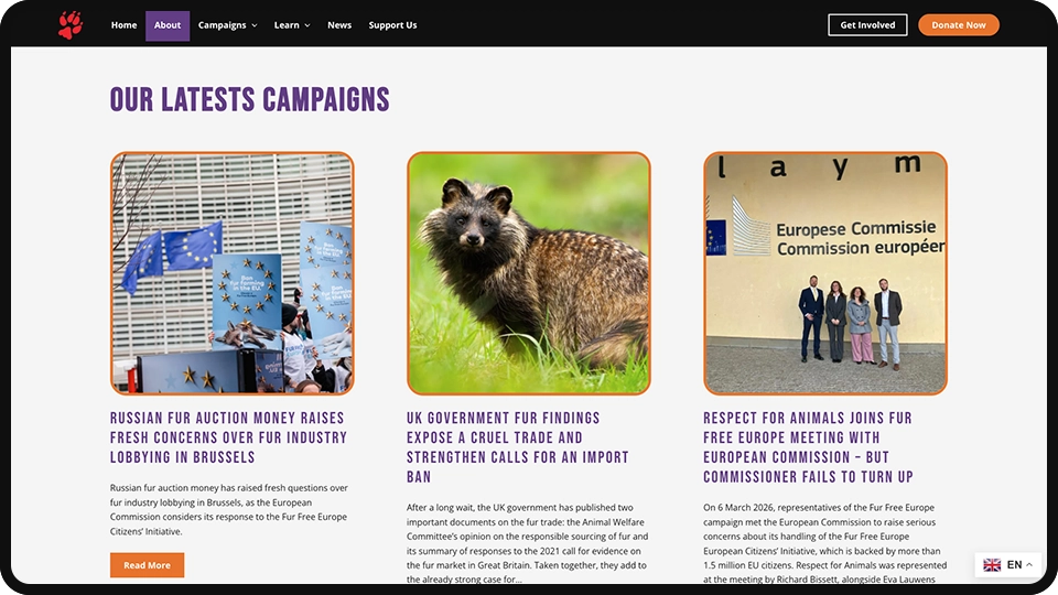 Screenshot of Respect for Animals non-profit website redesign