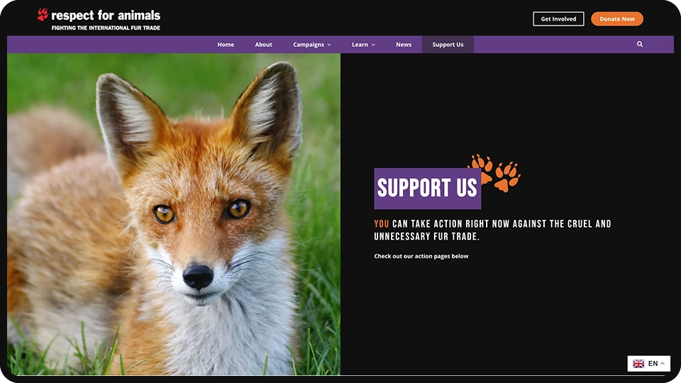 Screenshot of Respect for Animals non-profit website redesign